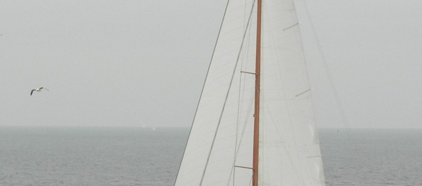 DSCN0384
