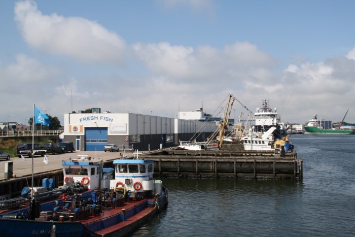 haven1