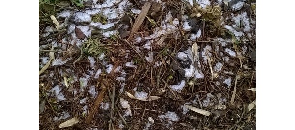 WP_20150130_001
