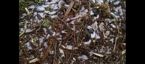 WP_20150130_001